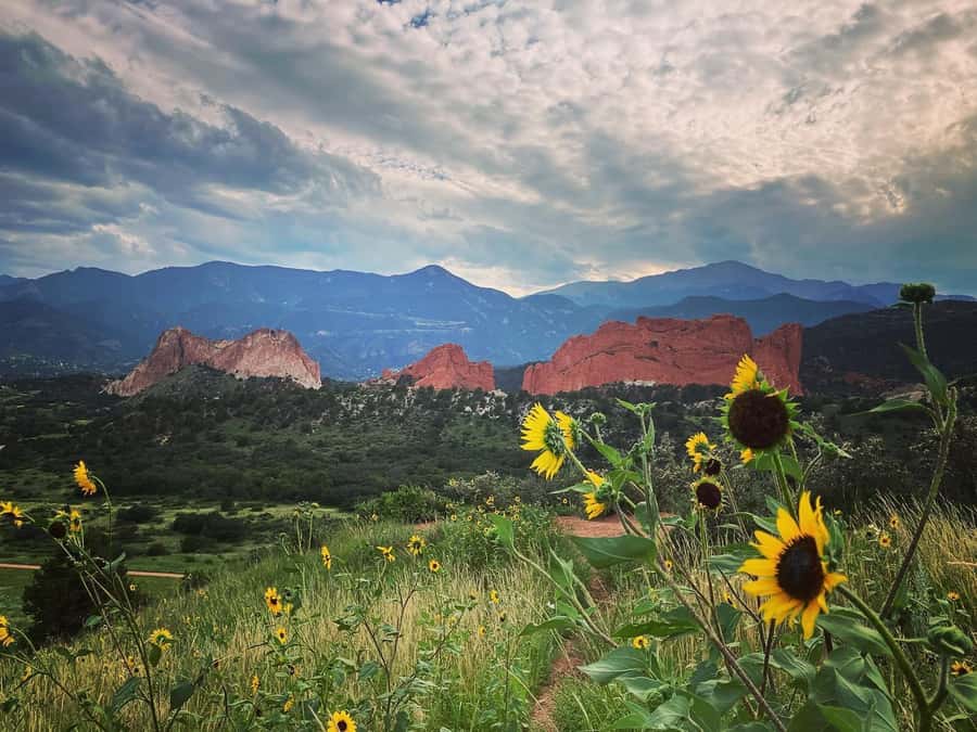Colorado Springs: Garden of the Gods & Historic Town Tour - Who should book this experience