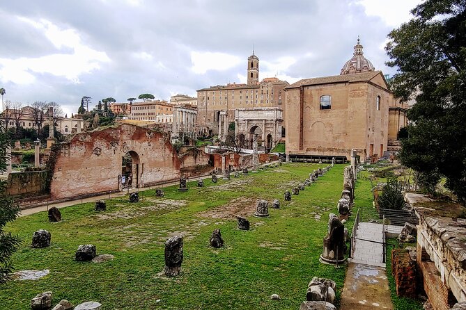 Colosseum & Ancient Rome Guided Walking Tour - The Roman Forum, where public life happened