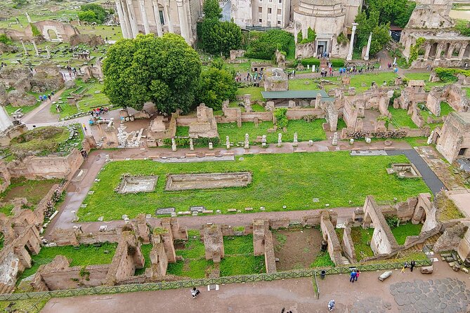 Colosseum & Ancient Rome Guided Walking Tour - Who should book this Rome walking tour?