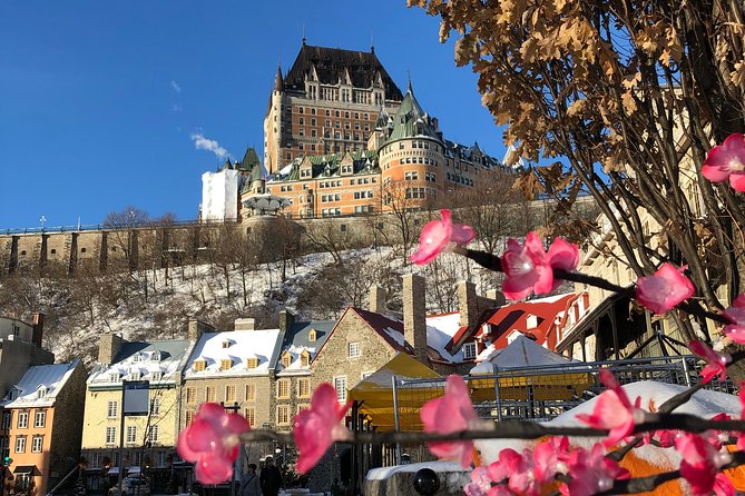 Combo Historical and Food Tour of Old Quebec - What the $224.55 price buys you