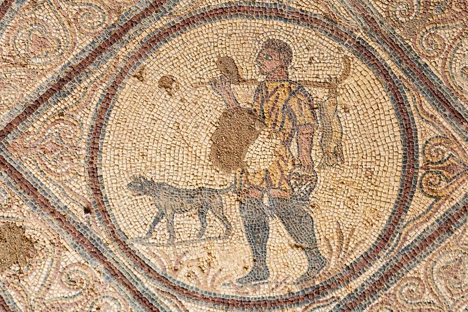 Conímbriga Roman Ruins & Museum | Private Tour - Why Conímbriga is worth the trip from Coimbra