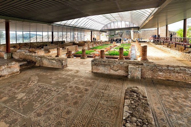 Conímbriga Roman Ruins & Museum | Private Tour - What a private guide adds