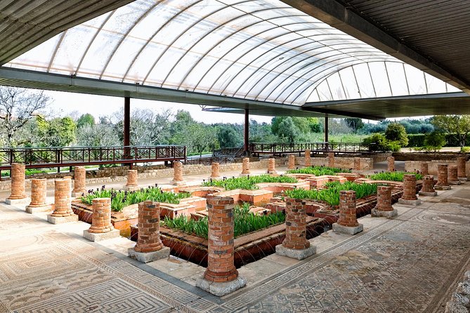 Conímbriga Roman Ruins & Museum | Private Tour - Reading the Roman ruins at Conímbriga