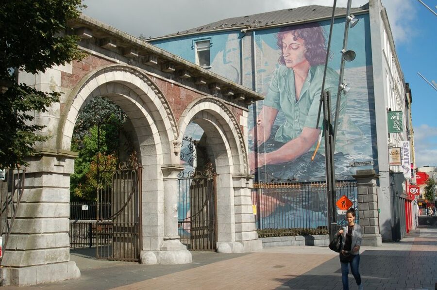 Cork: Guided Historical Walking Tour - St Fin Barre’s Cathedral and Elizabeth Fort