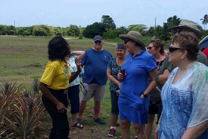 Cultural and Historical Home Tour in The Antiguan Experience - A three-hour introduction to Antigua beyond the beach