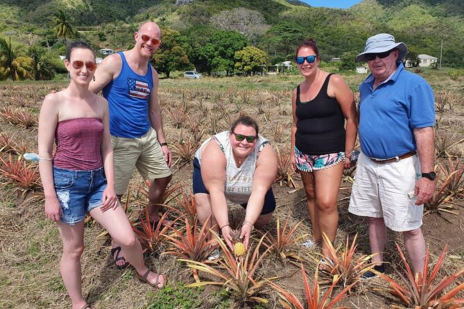 Cultural and Historical Home Tour in The Antiguan Experience - Beach lunch brings the day to an easy finish