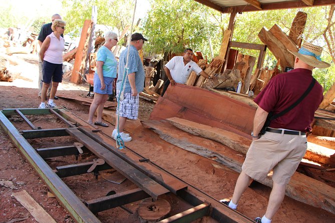 Cultural & Ecology, Nature & History of the hidden towns of Southern Baja! - What the guide contributes to the day