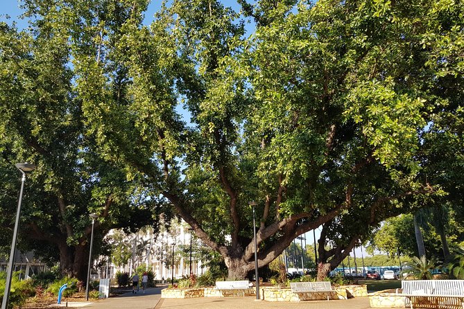 Darwin Heritage Walk - Why this Darwin walk works as a first introduction