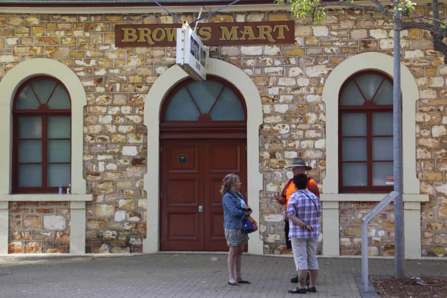 Darwin: Small Group 2-Hour Heritage Walk - Why this Darwin walk earns your time