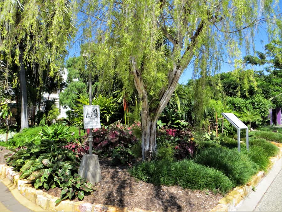 Darwin: Small Group 2-Hour Heritage Walk - Darwin’s past is easier to grasp on foot
