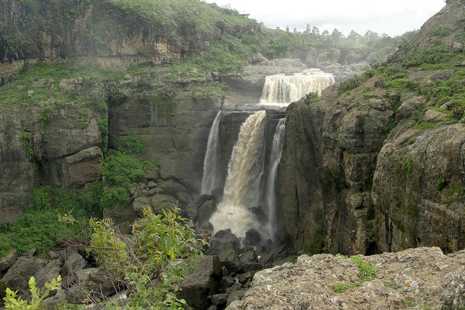 Day Trip From Addis Ababa See Historical Monastery,Stunning Nature,Animals,Birds - Why this Addis Ababa day trip works