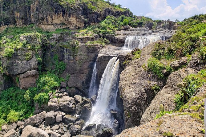 Day Trip From Addis Ababa See Historical Monastery,Stunning Nature,Animals,Birds - Should you book the Debre Libanos day trip?