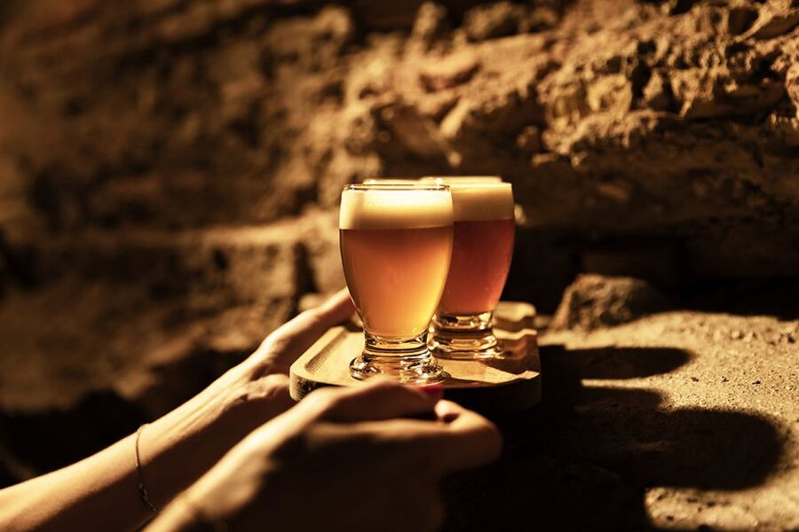 Delft: Craft Beer Tasting in Medieval Brewery - Who will enjoy this Delft tasting most