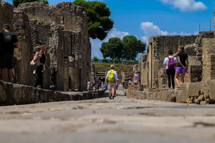 Discover Herculaneum: A guided tour of the ancient Roman city - The House of the Deer and Roman luxury