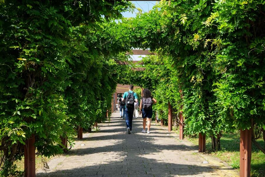 Discover Herculaneum: A guided tour of the ancient Roman city - Meeting your guide and entering the site