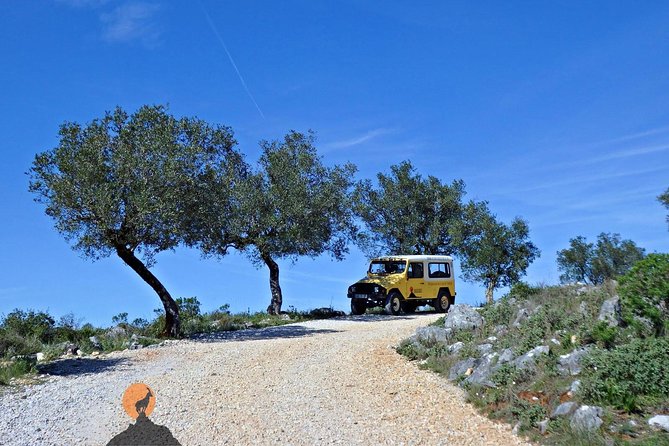 Discovering the Roman Ruins of Conímbriga and the Caves of Sicó - Why a private vehicle changes the experience
