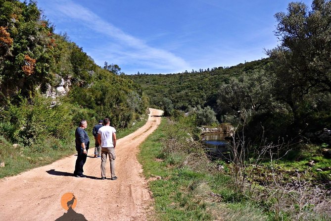 Discovering the Roman Ruins of Conímbriga and the Caves of Sicó - Timing, pace, and what to bring