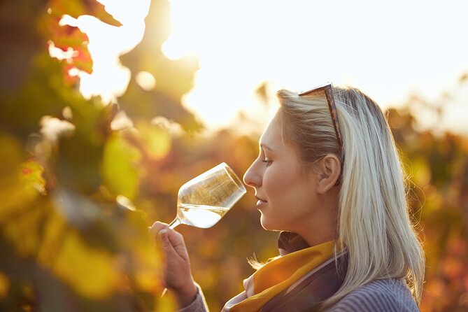 Douro Valley: Historical Sites, Wine Experience, Lunch & Cruise - The N222 into the heart of wine country
