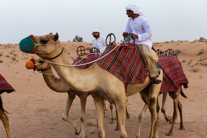 Dubai Camel Desert Safari, Traditional Meal & Heritage Activities - A torch-lit Bedouin camp after dark