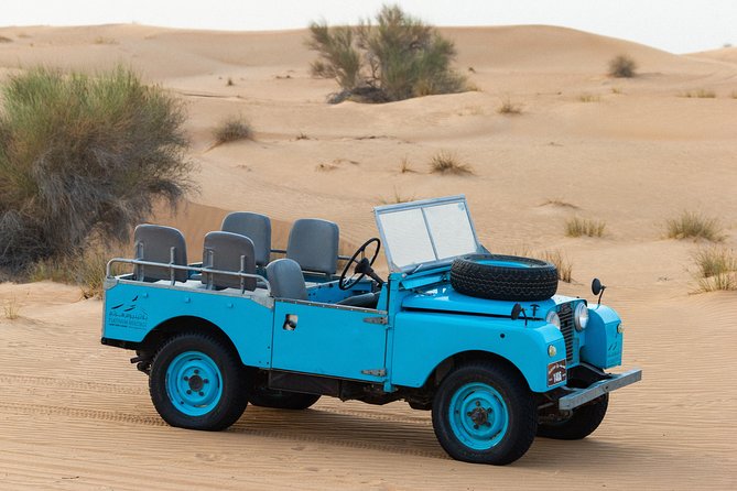 Dubai Camel Desert Safari, Traditional Meal & Heritage Activities - Guides and the small-group difference