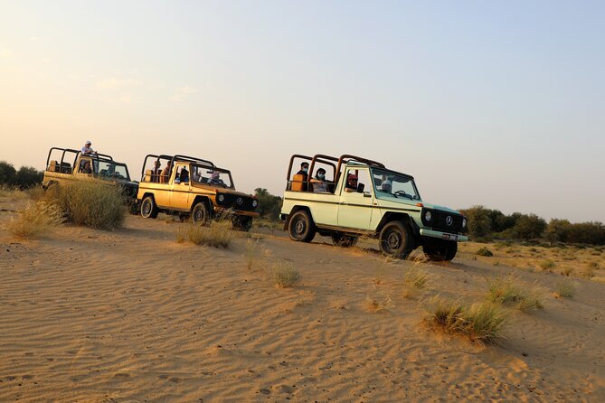 Dubai Evening Heritage Safari by Vintage G Class Al Marmoom Oasis - Why the Vintage Mercedes Changes the Safari