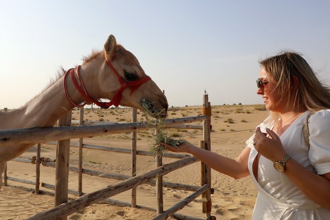 Dubai Evening Heritage Safari by Vintage G Class Al Marmoom Oasis - Who Will Get the Most from This Tour