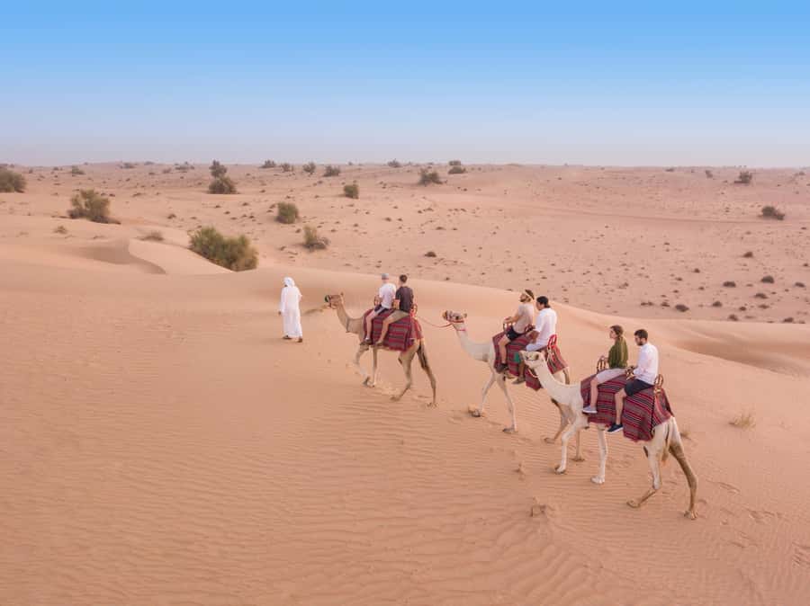 Dubai: Heritage Camel Desert Safari with Traditional Dinner - Falconry as the sun drops