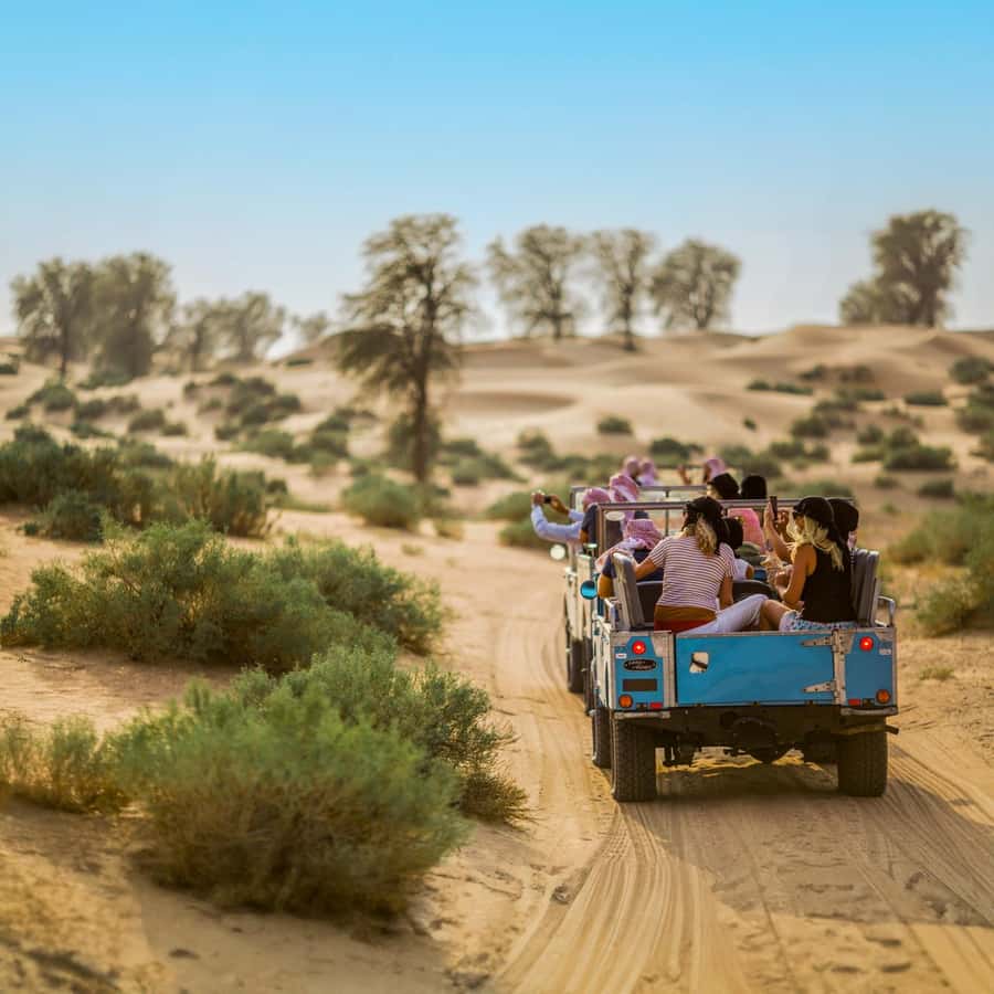Dubai: Heritage Safari in Vintage Land Rover with Dinner - Falconry as the sun begins to fall