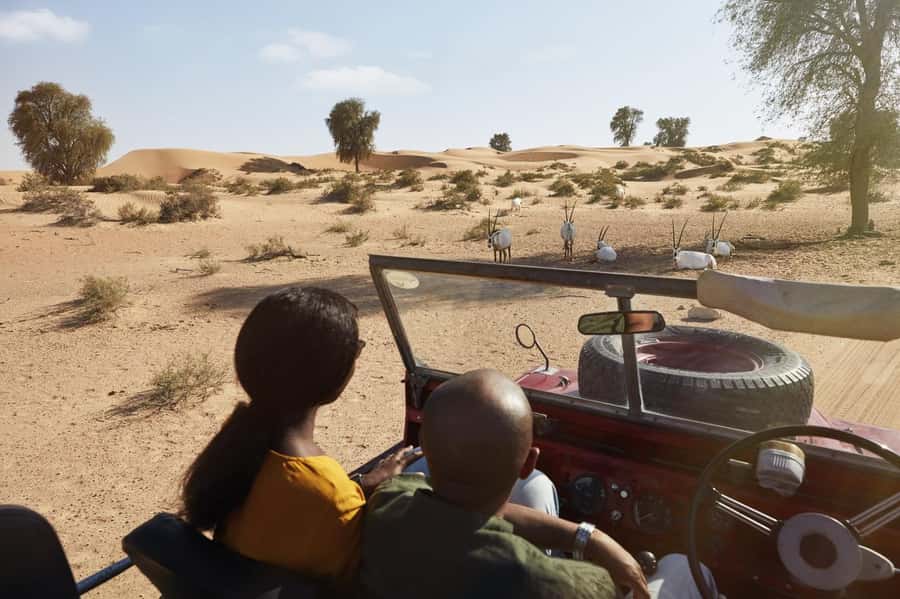 Dubai: Heritage Safari in Vintage Land Rover with Dinner - Entering the Bedouin-style camp