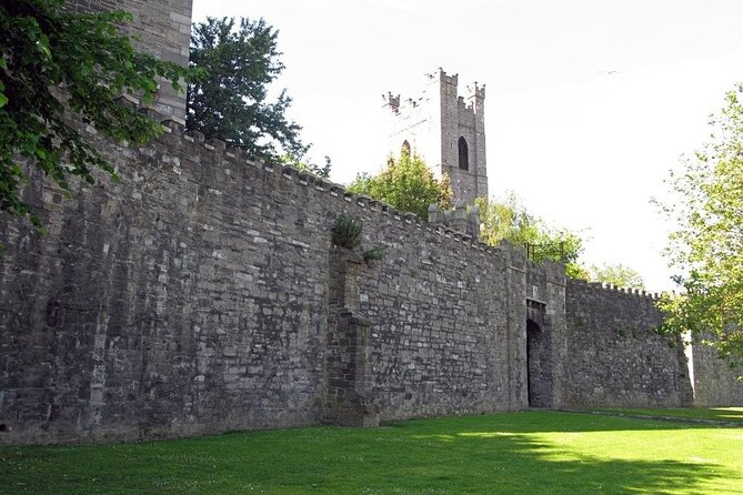 Dublin Private Medieval Walking Tour - Dublin Castle and the medieval power center