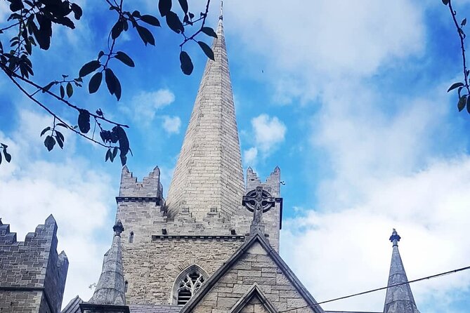 Dublin Private Medieval Walking Tour - Dubh Linn Gardens and the Viking beginning