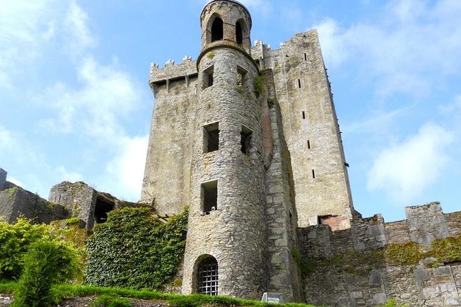 Dublin to Cork, Blarney Castle & Cóbh Heritage Centre by train - Blarney Castle and the climb to the stone