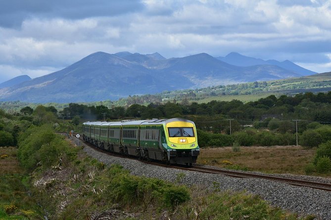 Dublin to Cork, Blarney Castle & Cóbh Heritage Centre by train - Who should take this tour?