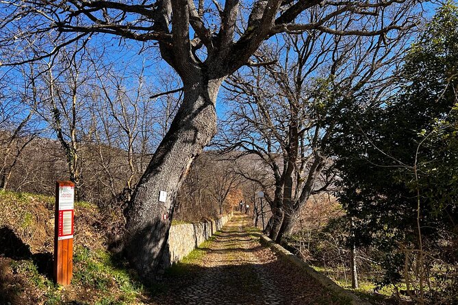 E-bike between towers and medieval villages at the foot of Sirente Abruzzo - Acciano’s old center and the Aterno Valley