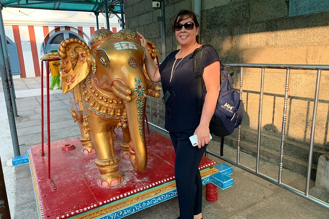 Exploring Mylapore: A Cultural & Historical Walking Tour - What the private format changes