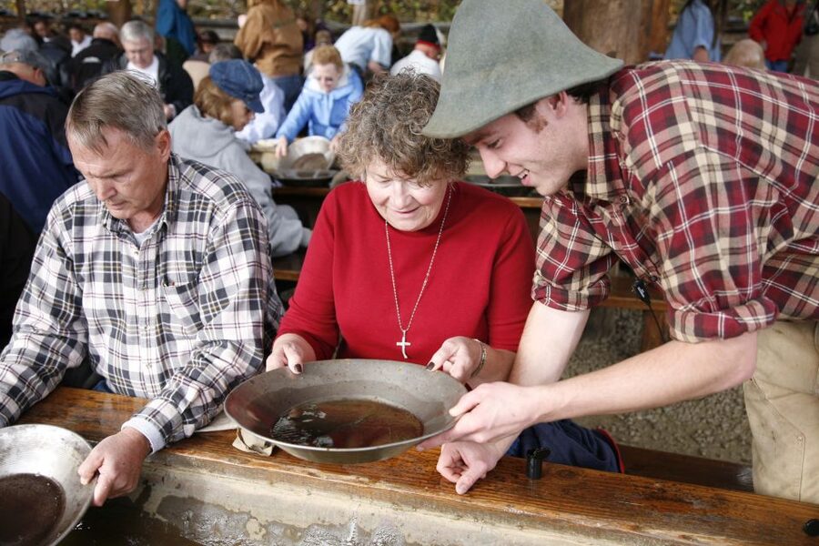 Fairbanks: Gold Dredge 8 Historic Train Tour - Is $89 a fair price?