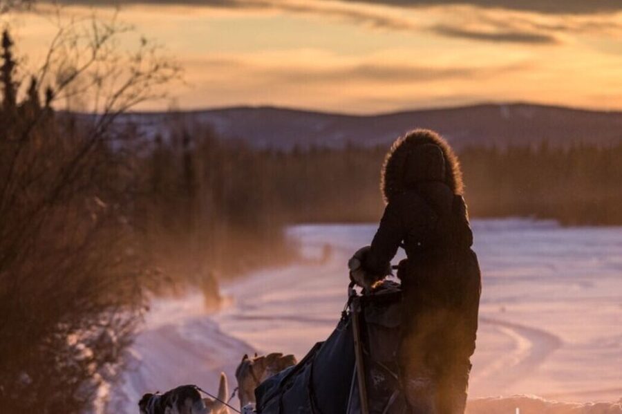 Fairbanks: Private Mush on the Historic Yukon Quest Trail - Key points to know before you book