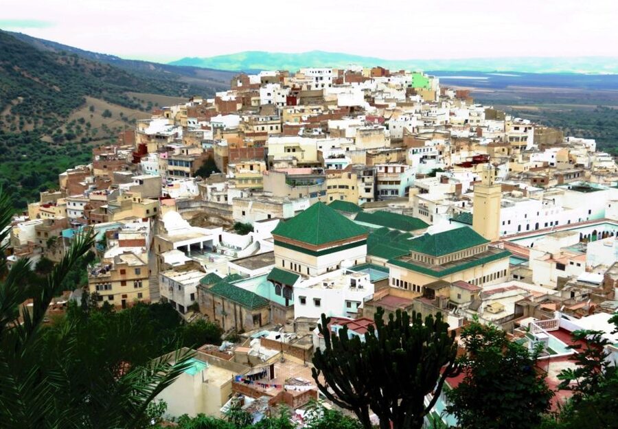 Fes: Volubilis Roman Ruins, Mouly Idriss, & Meknes Day Trip - Meknes Medina: Imperial Architecture and Free Time