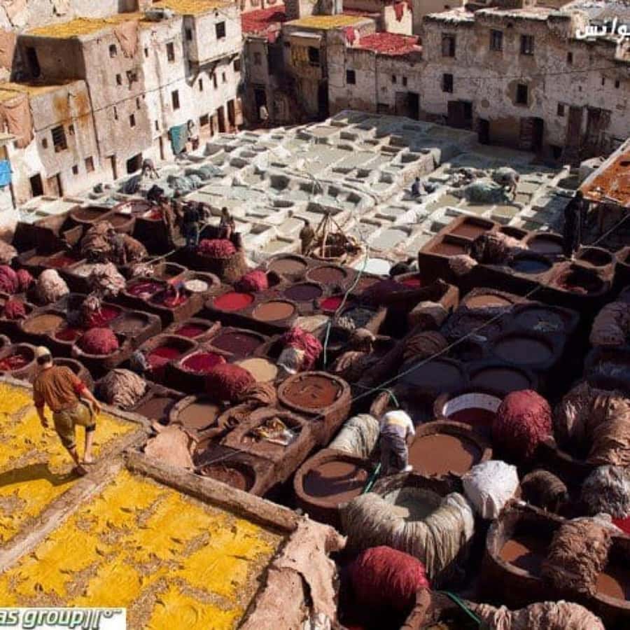 Fez: Guided Walking Tour of the Historic Medina - Timing, walking, and the real value of $22
