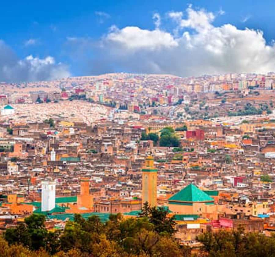 Fez: Walking Tour in the Ancient City of Fez - The tanneries show Fez at work