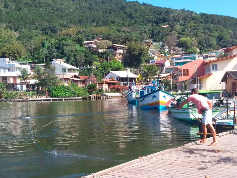 Florianópolis: Historical Center, Beach & Nature Tour - What this Florianópolis day tour is really trying to do