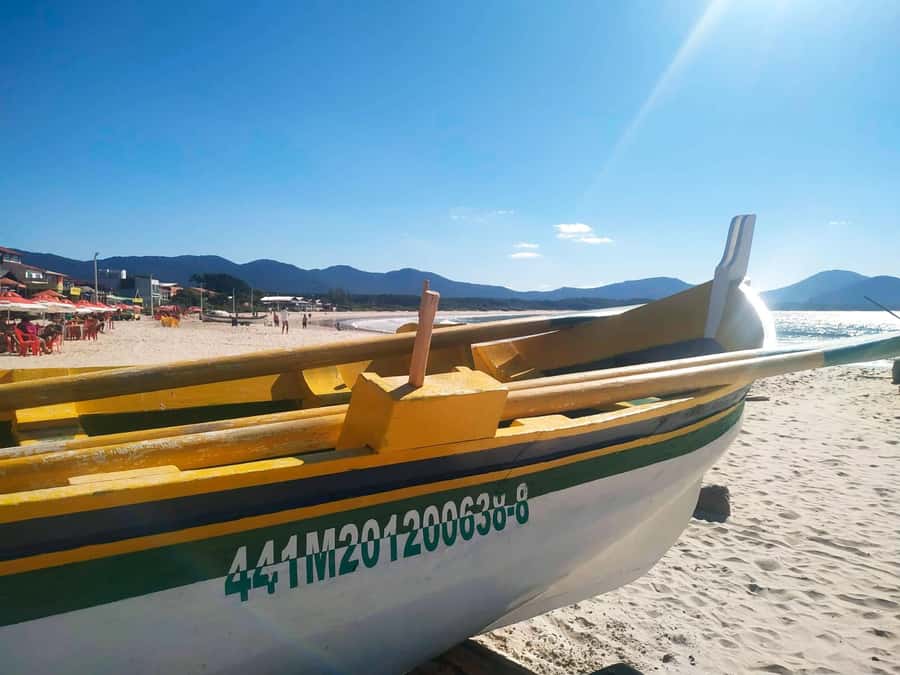 Florianópolis: Historical Center, Beach & Nature Tour - One hour at Joaquina Beach