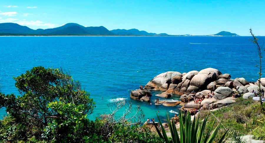 Florianópolis: Historical Center, Beach & Nature Tour - Praça XV, the cathedral, and the Public Market