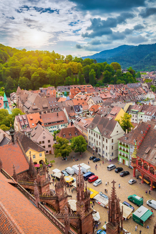 Freiburg: Exciting City Tour with sightseeing and history - Schwabentor and the route toward Schlossberg