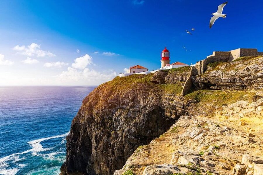 From Albufeira: Historical Algarve Region Tour - Practical advice for a better day