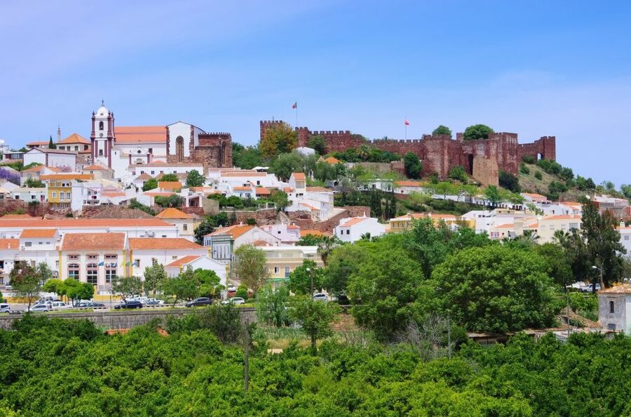 From Albufeira: Wine Tasting & Historic Silves Tour - Should you book this Silves and wine tour?