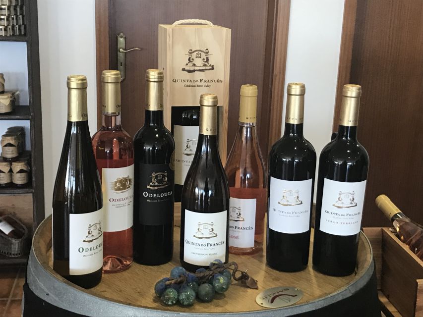 From Albufeira: Wine Tasting & Historic Silves Tour - What you taste and how the session works