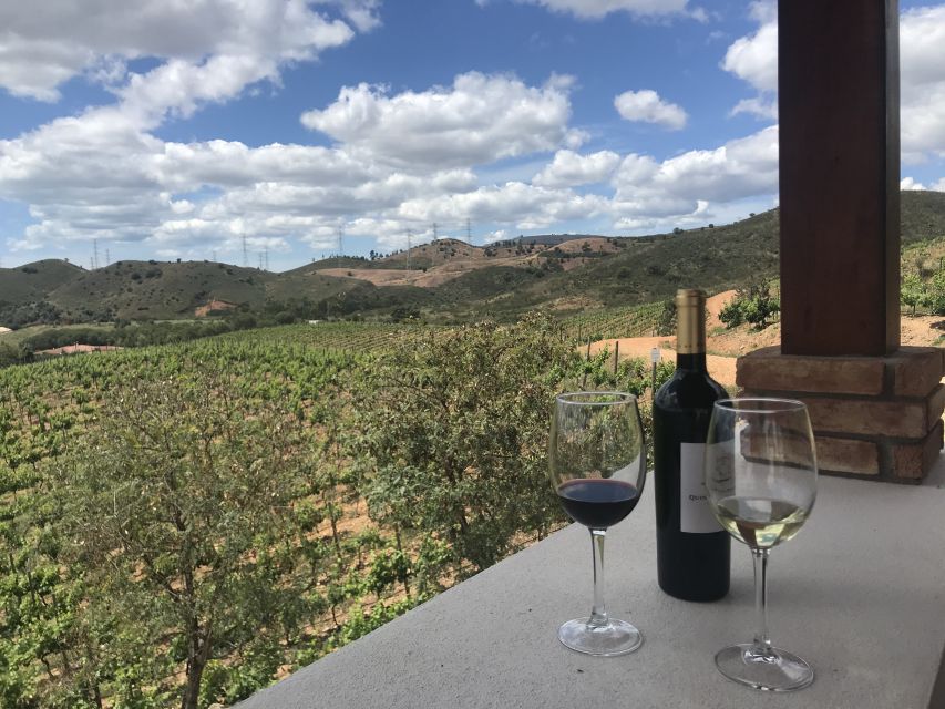 From Albufeira: Wine Tasting & Historic Silves Tour - The return through orange groves and cork country