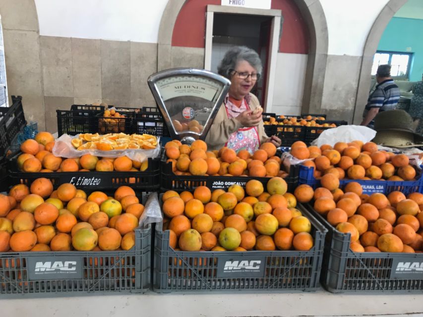 From Albufeira: Wine Tasting & Historic Silves Tour - Is $76 a fair price?