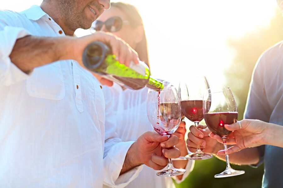 From Albufeira: Wine Tasting & Historic Silves Tour - Who will enjoy this four-hour outing?
